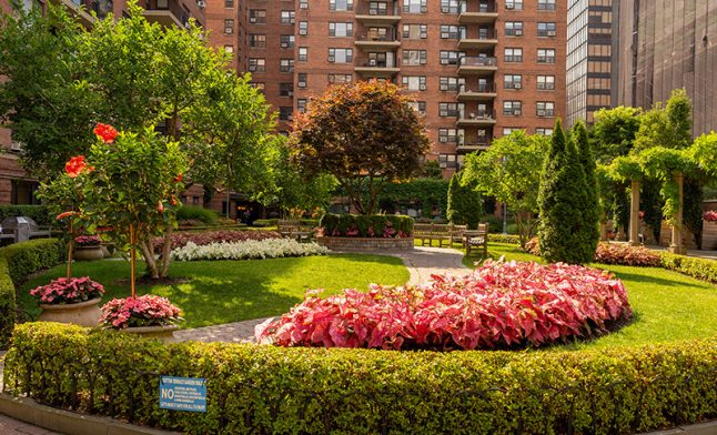 commercial landscaping with well-trimmed bushes