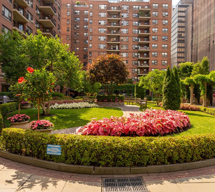 commercial landscaping with well-trimmed bushes