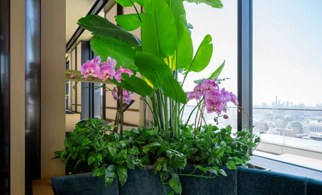 interior landscaping picture 3