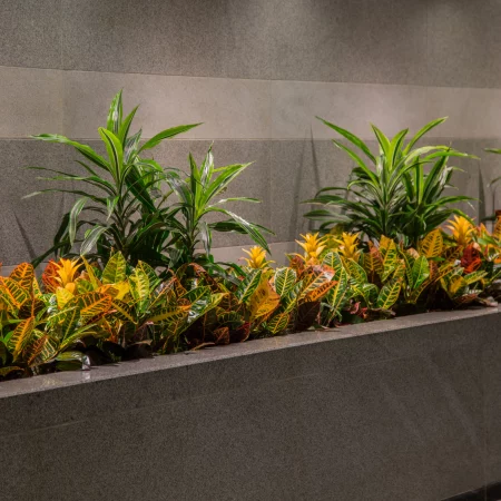 interior landscaping picture 6