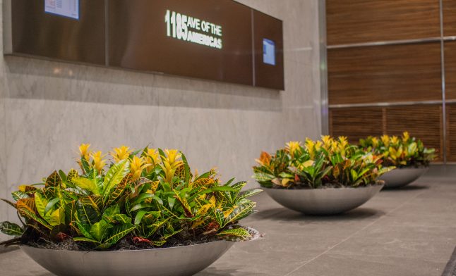 interior landscaping picture 1