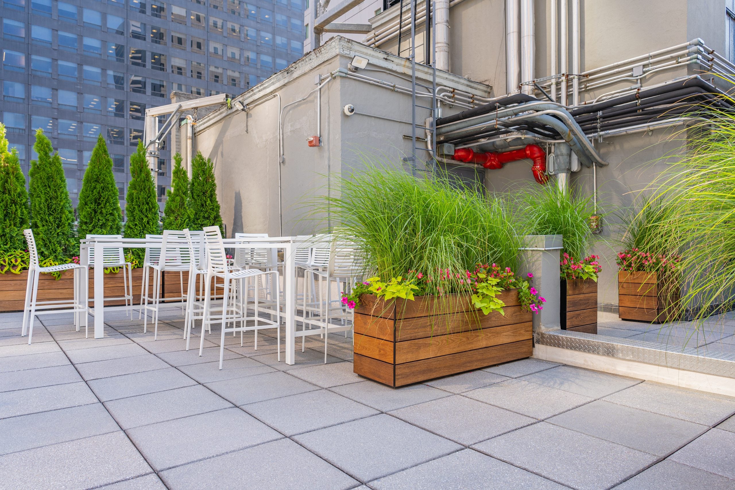 Commercial rooftop terrace with wooden raised planters featuring tall ornamental grasses, pink impatiens, and sweet potato vine, alongside white bar-height furniture and arborvitae