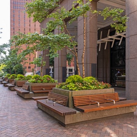 Concrete raised planters with multi-stem trees, pink begonias, and chartreuse foliage lining a brick-paved commercial plaza entrance, with integrated wood-slat benches