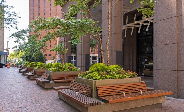 Concrete raised planters with multi-stem trees, pink begonias, and chartreuse foliage lining a brick-paved commercial plaza entrance, with integrated wood-slat benches